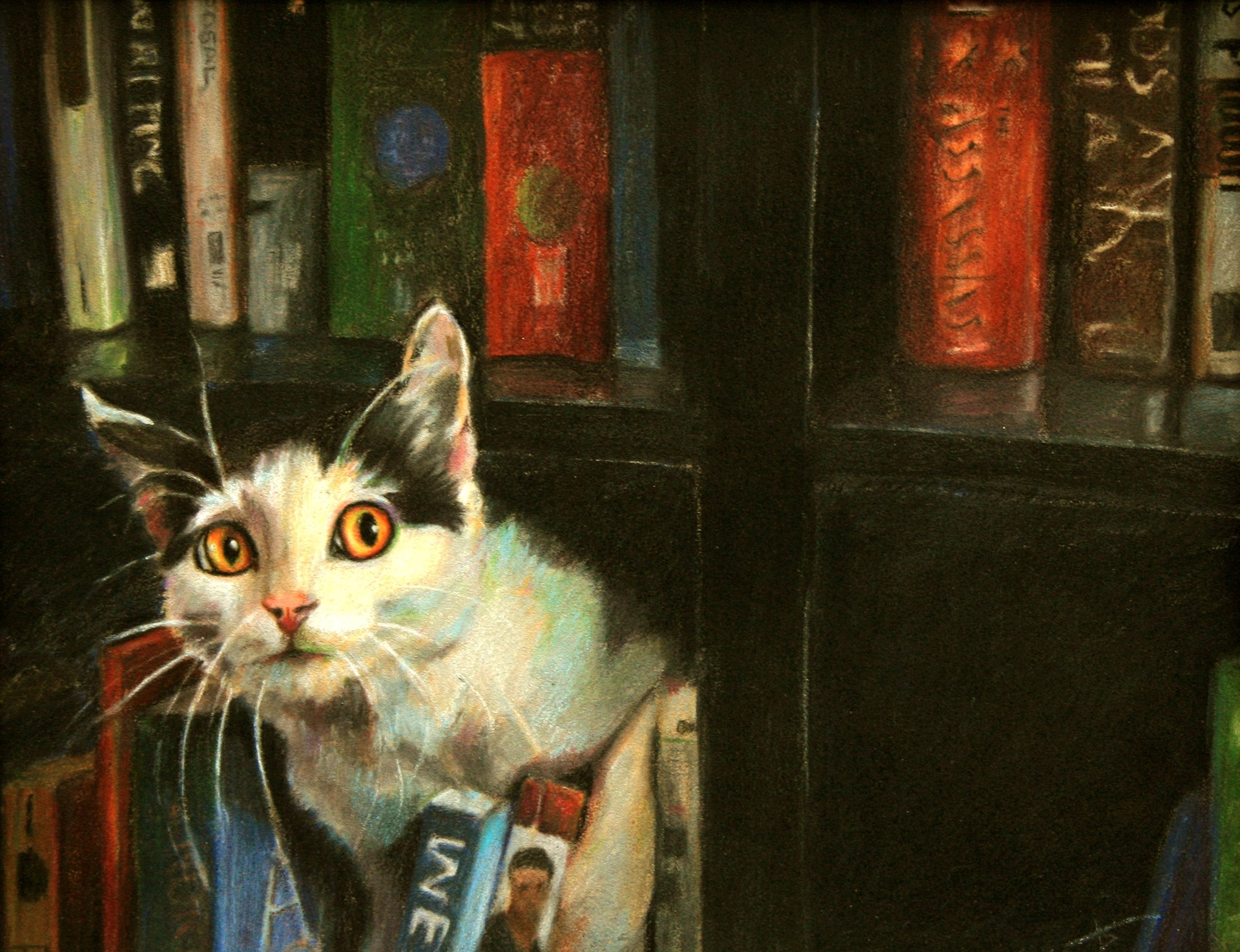 The Writer's Cat