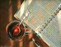 The Novelist